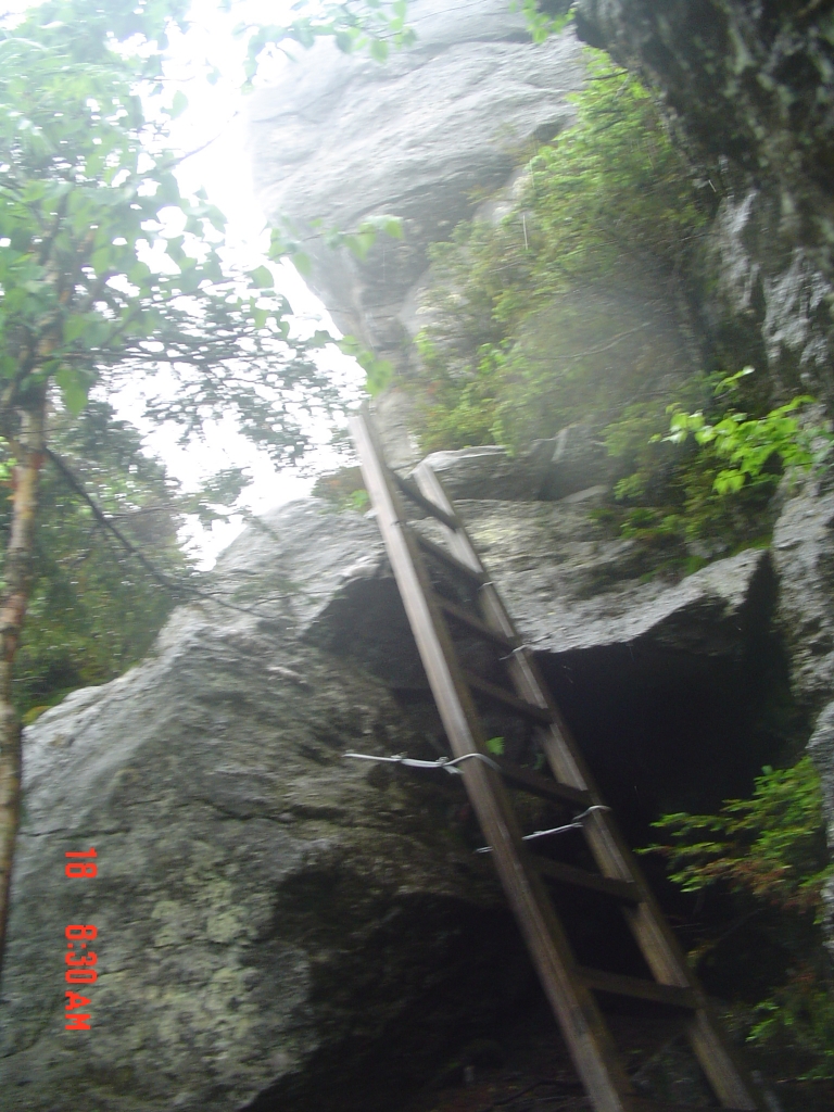 I climbed this welcome ladder, about half an hour out of Butler Lodge.