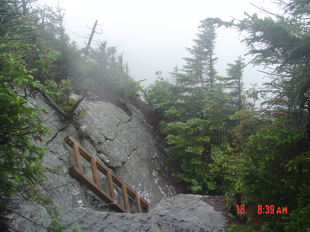 Ten minutes later, the top of another steep ladder. Firs are getting shorter and it's exciting to crawl among these boulders.