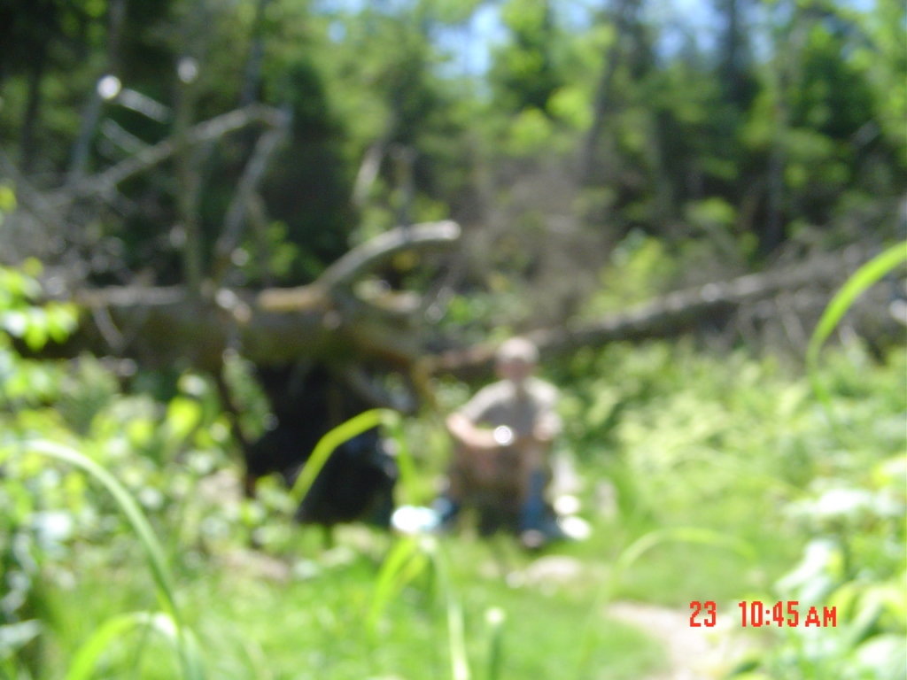 Blurry photo but nice spot! Lunch 11:30 to 12:05 at the Forester Trail intersection. It's 2.8 miles to Tilloston Camp, my day's destination.