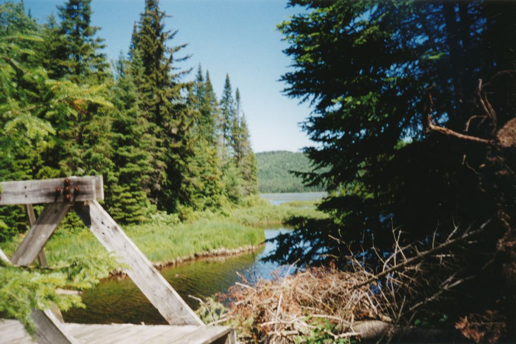 Looking east from the bridge over West Canada Creek, near South Lake