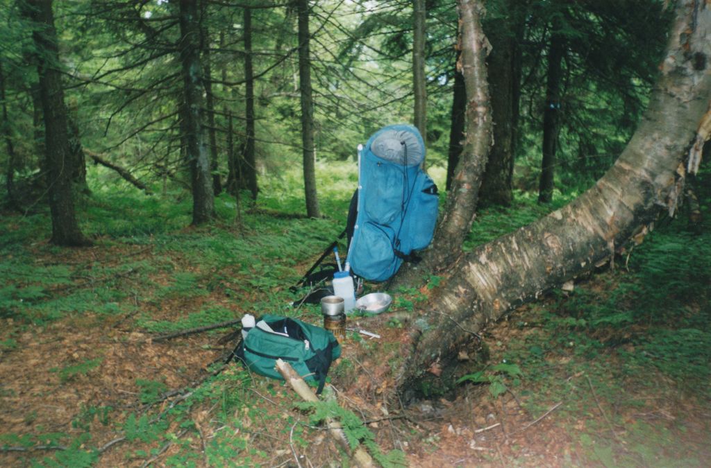 Trail lunch atop ridge south of Long Lake; heating water with the Svea 123 stove. The blue trail marker on the fir at left of center can just be discerned.