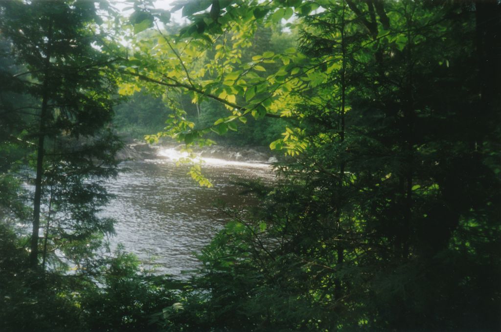 At 8:00 AM on Day 10, I was hiking north from  Cold River #4 when I came to Big Eddy.