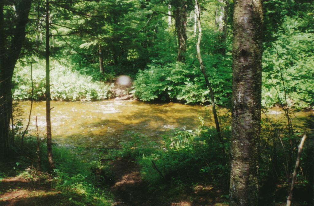 I had just waded across this Ouluska Pass Brook, in  Teva sandals, shortly before 11:00 AM.