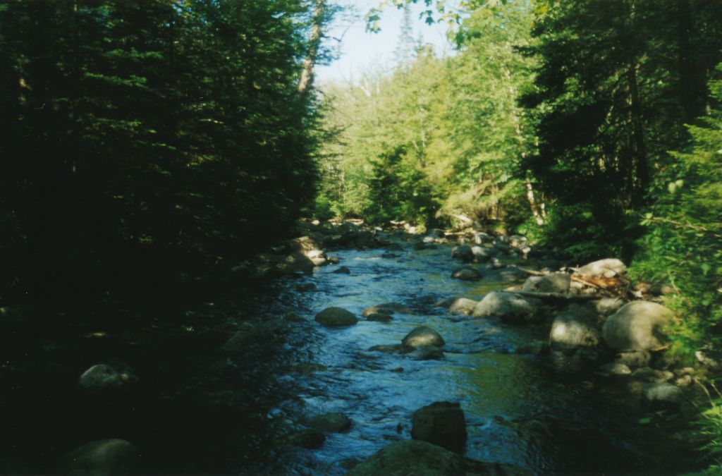 Looking south along Roaring Brook. The trail to Preston Ponds and the Indian Pass Trail crosses it and heads east, but this time I moved north along its west bank.