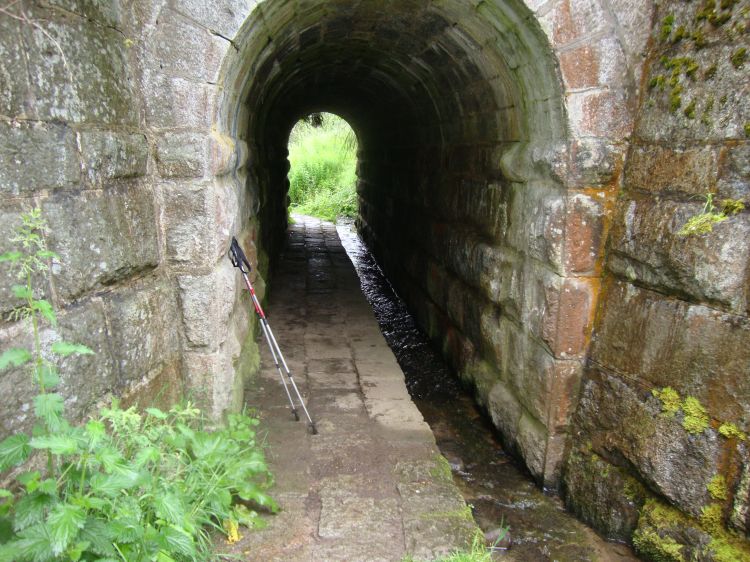 The Speyside Way paralleled a railroad just north of Aviemore, and half an hour into my walk north passed under the tracks here.