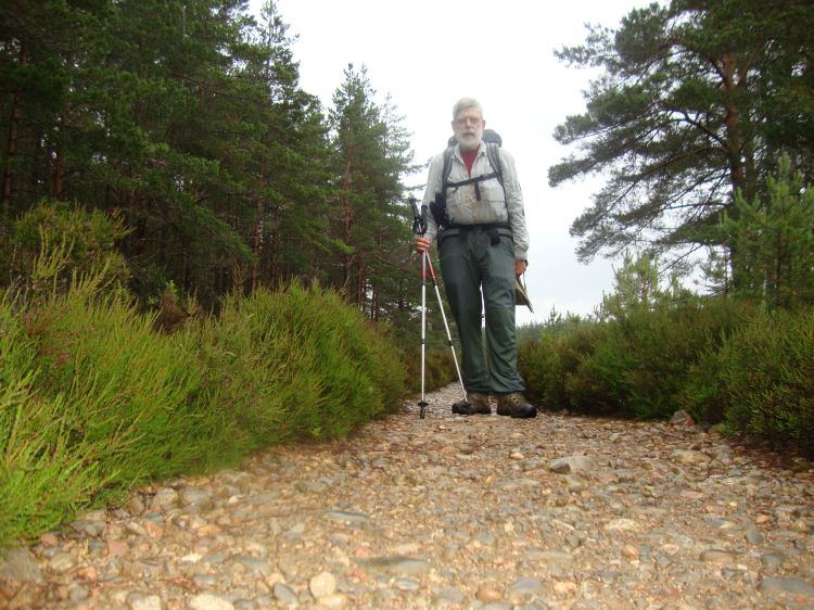 In Abernethy National Forest, about 1:30 PM, between the small towns Boat of Garten (where I first crossed the River Spey) and Nethy Bridge. Rain gear had been on and off several times during my first day on the Speyside Way.  