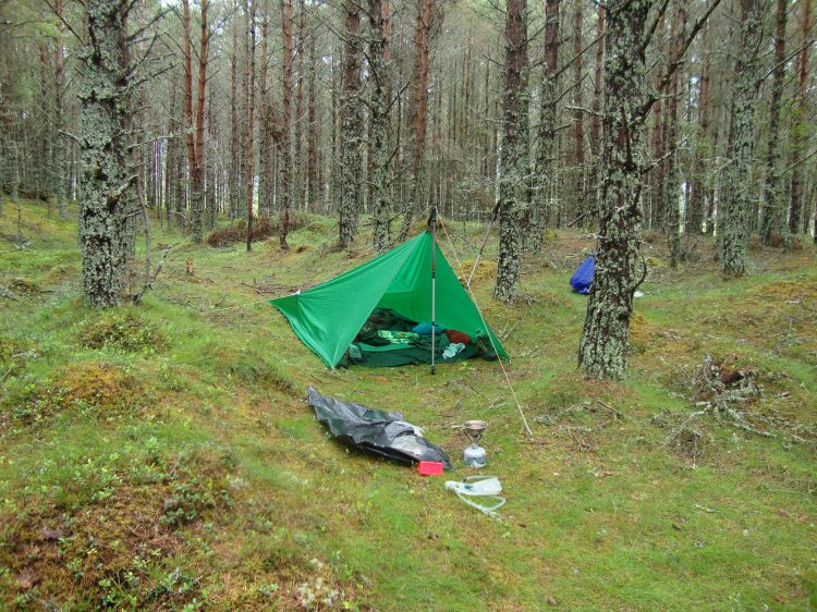 At 2:15 PM I began to set up my first truly "wild camp," about a hundred yards off the trail. The site is near the northern edge of Anagach Woods, about a mile south of Cromdale. The trees made it possible to hang my hammock, and I enjoyed a relaxing afternoon and night. 