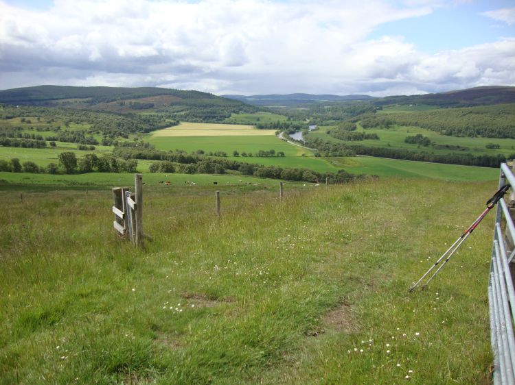 At 1:45 PM, I was near the top of a hill, ready to enter the Woods of Knockfrink, and looked back over my trail to the Spey and the highway (A95) that parallels it. This is the countryside I've walked today.
