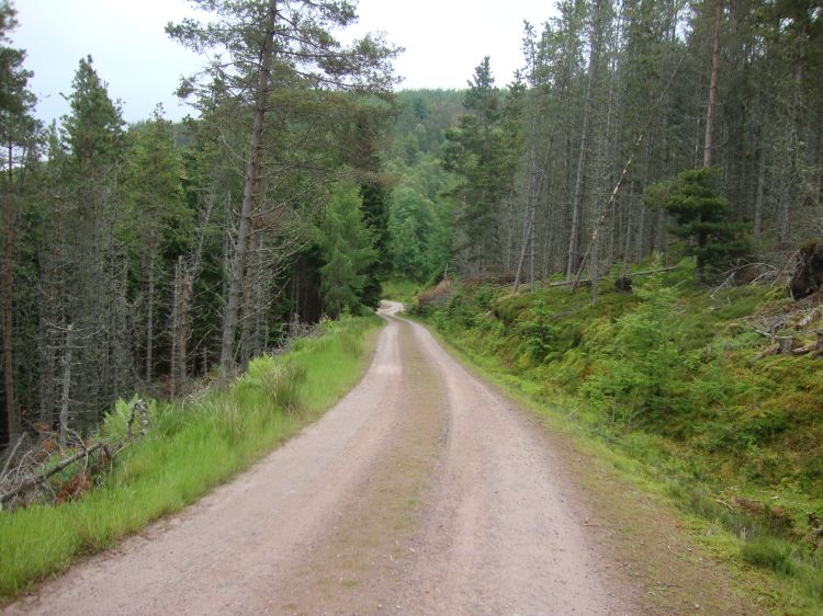 Saturday June 25 (Day 30) began with a long ascent out of Craigellachie, along a quiet shaded lane above the Spey. The town of Rothes appeared, on my left, across the river. By this 10:45 AM photo, I was beginning to descend Ben Aigan, and about noon left the Ben Aigan Forest.    