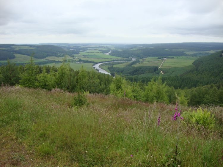 At 11:00 AM, while descending Ben Aigan, this nice view of the River Spey appeared. I was heading north, on the east side of the river; this view is looking northwest.
