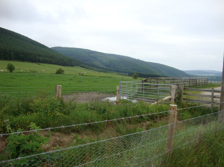 Shortly after noon I'd left the Ben Aigan Forest and arrived at Bridgton Farm, around Mile 50 of the Speyside Way. This photo looks back to the hills I'd traversed that morning. Rothes (and, I think, Craigellachie) are just out of view in the distance at the right.