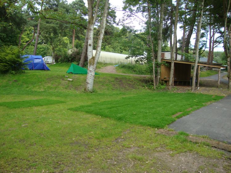 The humble tarp, and the welcome shelter, at Burnside in Fochabers, about 6:30 PM Saturday. In the other tent was a young family with a couple of kids having a great time in the outdoors. 