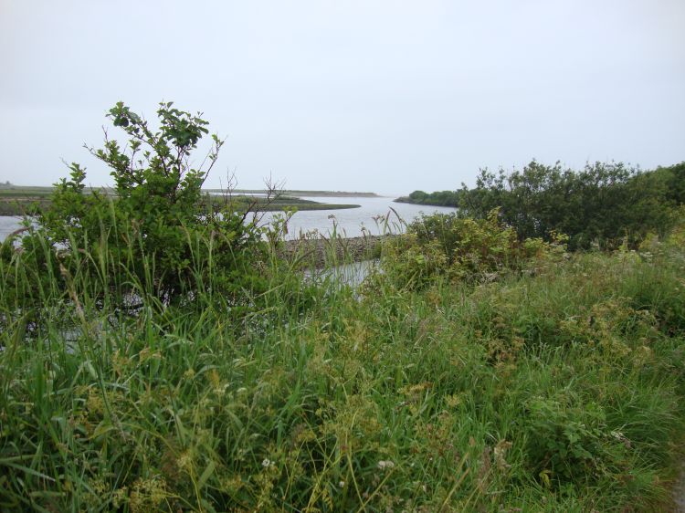 At 11:30 Sunday, the Spey is just about to reach the North Sea. It had been raining off and on all morning, and the Way was briefly diverted around a washed-out section of the river bank.